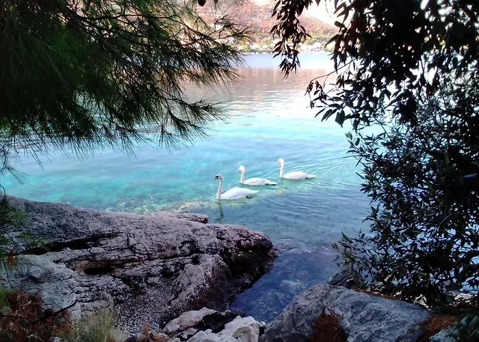 Mala Kuca Kraj Mora Appartamento