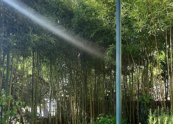 Mala Kuca Kraj Mora * Grebaštica